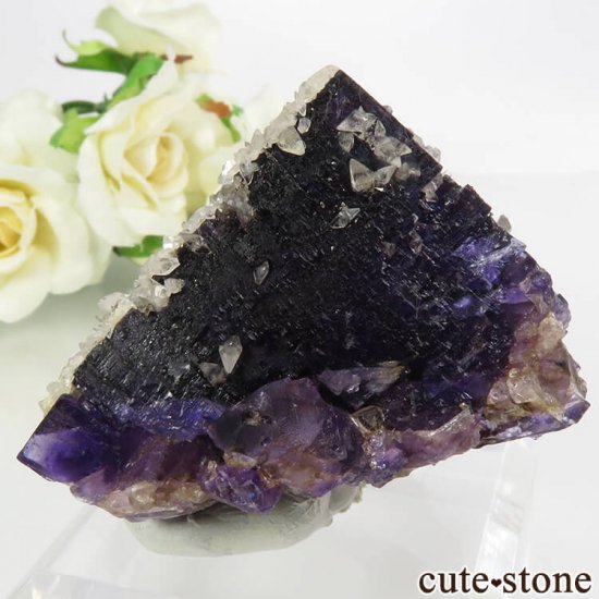 Υ Denton Mineѡץߥե饤ȡ륵ȡʤθ 154.5gμ̿2 cute stone