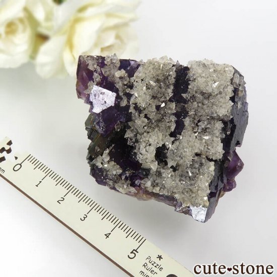 Υ Denton Mineѡץߥե饤ȡ륵ȡʤθ 154.5gμ̿3 cute stone