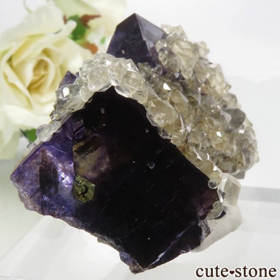 Υ Denton Mineѡץߥե饤ȡ륵&륳ѥ饤Ȥθ 56.7gμ̿0 cute stone
