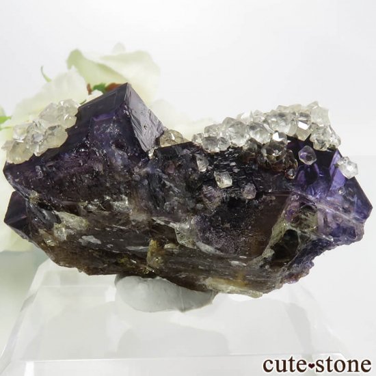 Υ Denton Mineѡץߥե饤ȡ륵&륳ѥ饤Ȥθ 56.7gμ̿1 cute stone