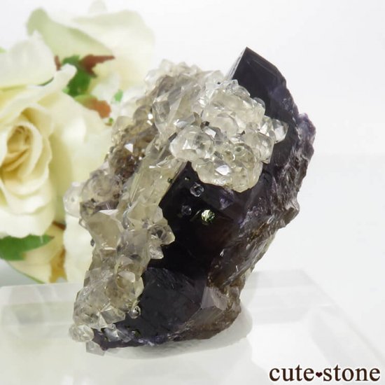 Υ Denton Mineѡץߥե饤ȡ륵&륳ѥ饤Ȥθ 56.7gμ̿2 cute stone