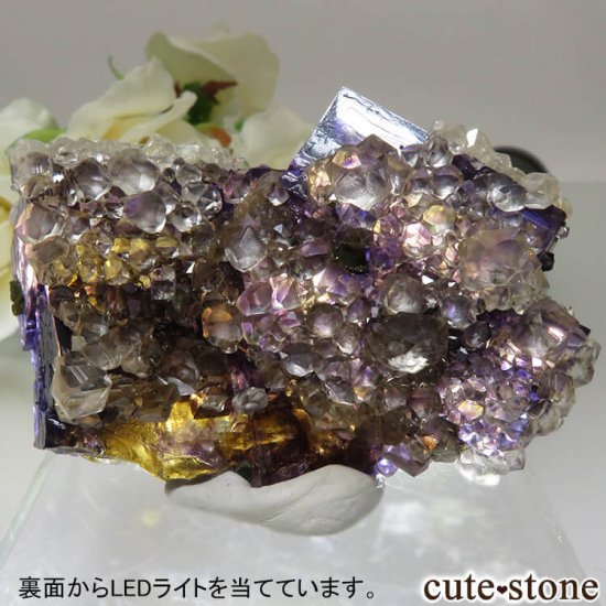 Υ Denton Mineѡץߥե饤ȡ륵&륳ѥ饤Ȥθ 56.7gμ̿4 cute stone