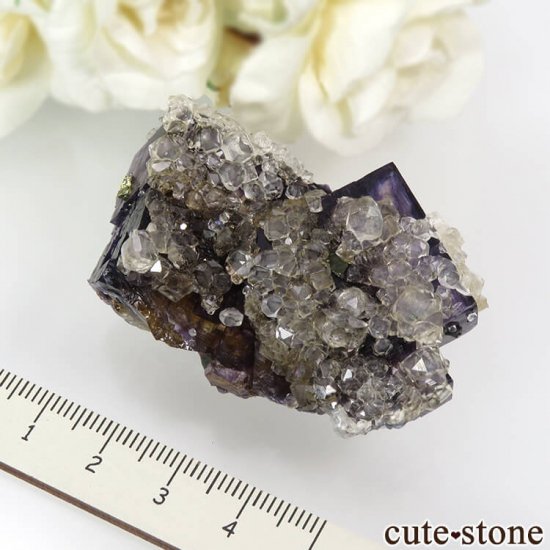 Υ Denton Mineѡץߥե饤ȡ륵&륳ѥ饤Ȥθ 56.7gμ̿5 cute stone