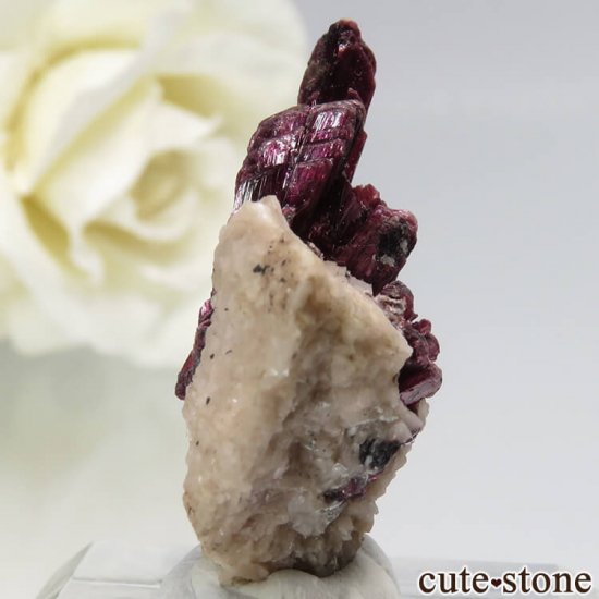 å ꥹ饤Ȥθ (ʪɸ) 4.2gμ̿1 cute stone