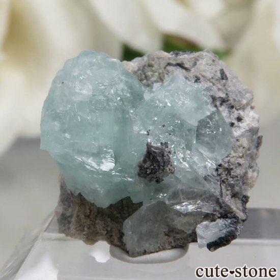 ܥӥ Unificada Mine եեե饤Ȥդ뾽 3.8ctμ̿3 cute stone