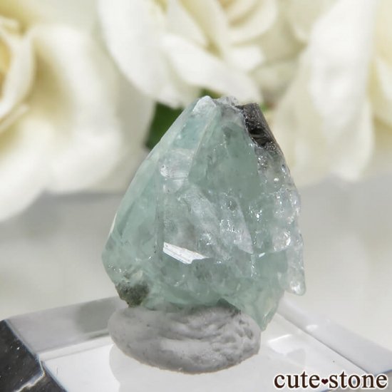 ܥӥ Unificada Mine եեե饤Ȥη뾽 3.5ctμ̿3 cute stone