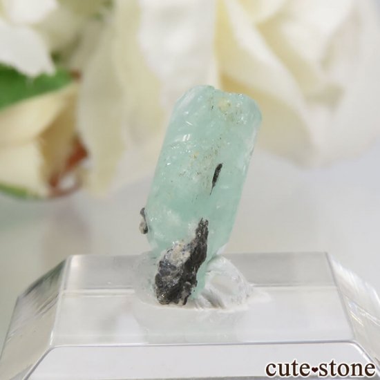 ܥӥ Unificada Mine եեե饤Ȥη뾽 3.1ctμ̿2 cute stone