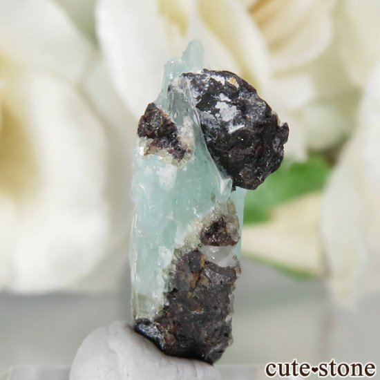 ܥӥ Unificada Mine եեե饤Ȥη뾽 6ctμ̿0 cute stone