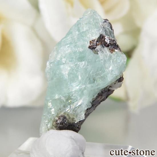 ܥӥ Unificada Mine եեե饤Ȥη뾽 6ctμ̿1 cute stone