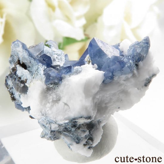 ե˥ ٥˥ȥȤդ뾽ʸС4.4gμ̿2 cute stone