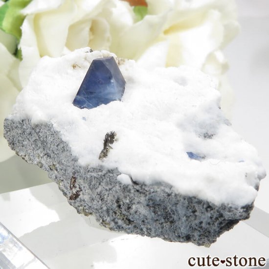 ե˥ ٥˥ȥȤդ뾽ʸС15gμ̿0 cute stone