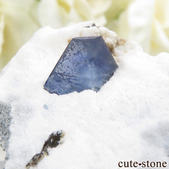 ե˥ ٥˥ȥȤդ뾽ʸС15gμ̿3 cute stone