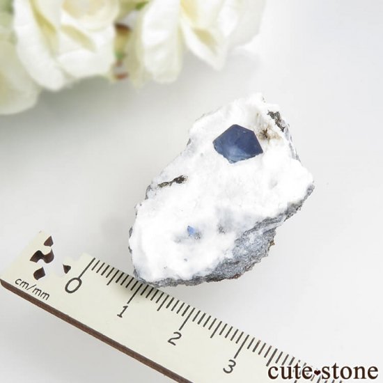 ե˥ ٥˥ȥȤդ뾽ʸС15gμ̿5 cute stone