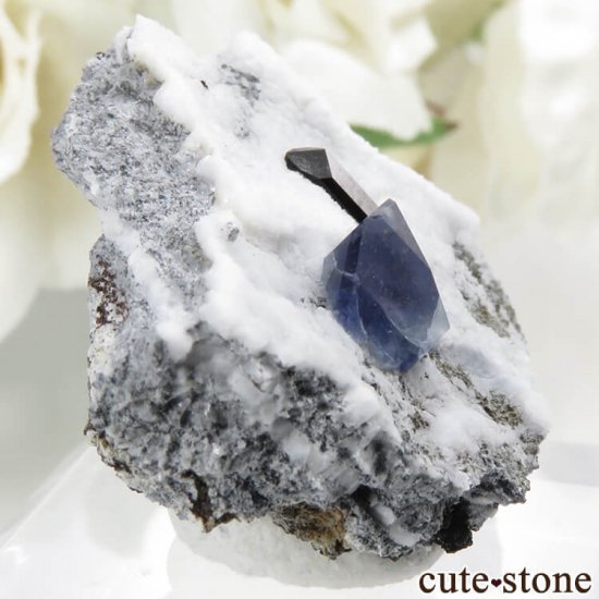 ե˥ ٥˥ȥȡͥץʥȤդ뾽ʸС6.5gμ̿0 cute stone