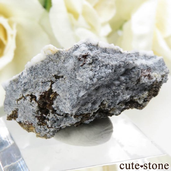 ե˥ ٥˥ȥȡͥץʥȤդ뾽ʸС6.5gμ̿1 cute stone