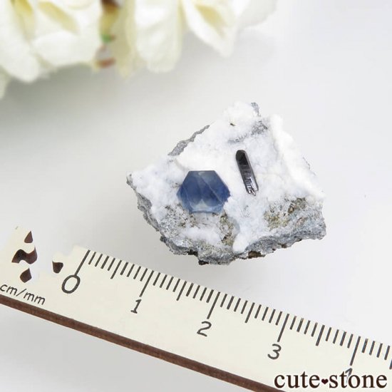 ե˥ ٥˥ȥȡͥץʥȤդ뾽ʸС6.5gμ̿4 cute stone