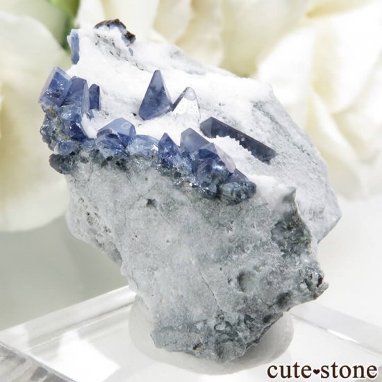 ե˥ ٥˥ȥȡͥץʥȤդ뾽ʸС9.1gμ̿0 cute stone