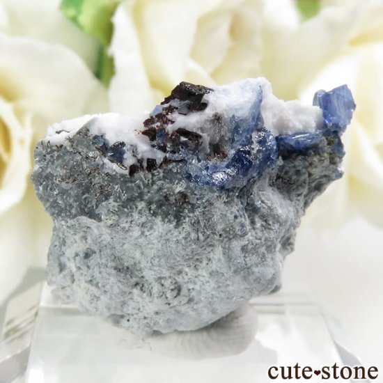 ե˥ ٥˥ȥȡͥץʥȤդ뾽ʸС9.1gμ̿1 cute stone