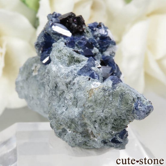 ե˥ ٥˥ȥȡͥץʥȤդ뾽ʸС7.8gμ̿0 cute stone