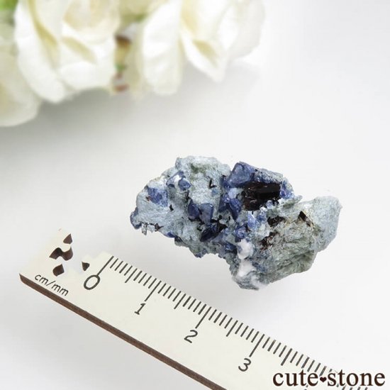 ե˥ ٥˥ȥȡͥץʥȤդ뾽ʸС7.8gμ̿6 cute stone