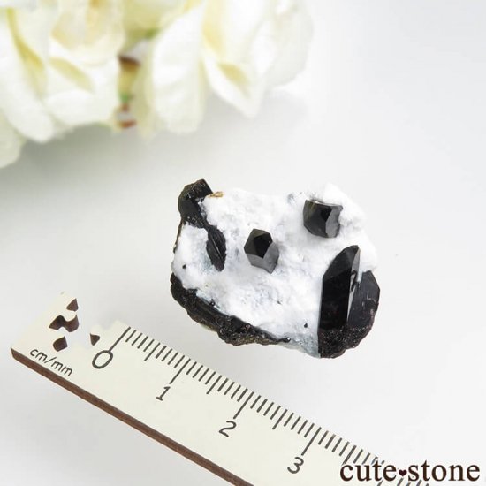 ե˥ ͥץʥȤդ뾽ʸС10.7gμ̿3 cute stone