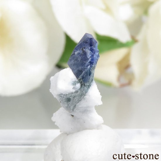 ե˥ ٥˥ȥȡͥץʥȤդ뾽ʸС0.4gμ̿2 cute stone