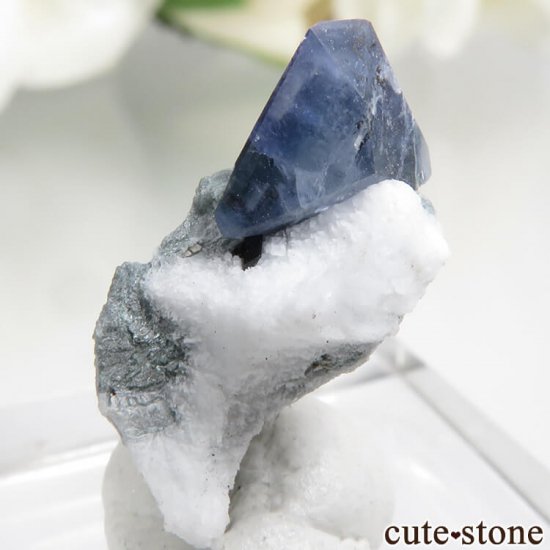 ե˥ ٥˥ȥȡͥץʥȤդ뾽ʸС0.4gμ̿3 cute stone