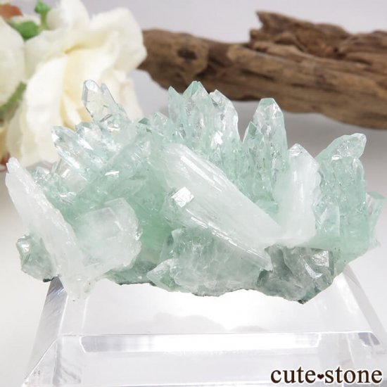 ץ͡ ꡼󥢥ݥե饤ȡƥХȤθ 15.6gμ̿1 cute stone