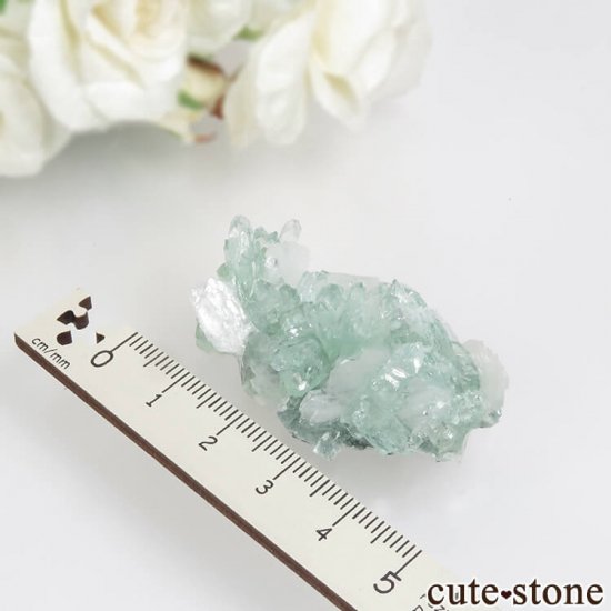  ץ͡ ꡼󥢥ݥե饤ȡƥХȤθ 15.6gμ̿3 cute stone