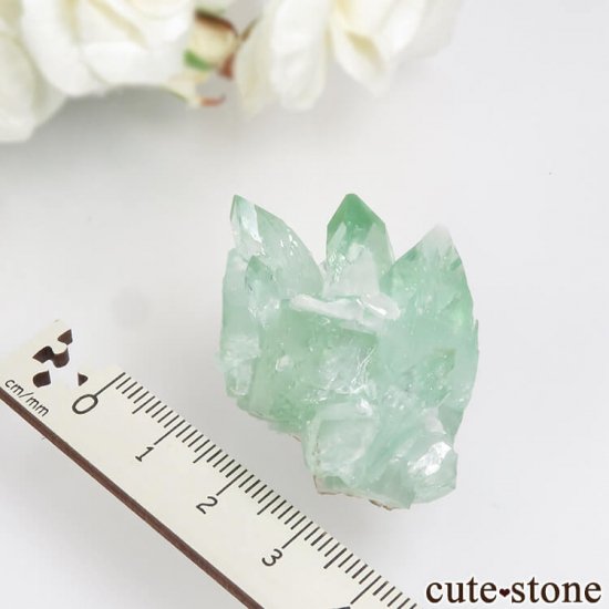  ץ͡ ꡼󥢥ݥե饤ȡƥХȤθ 21.4gμ̿3 cute stone