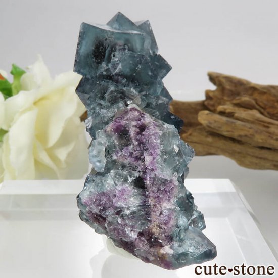 ʥߥӥ Okorusu Mine֥롼ߥѡץߥ꡼ե饤Ȥθ 53.5gμ̿0 cute stone
