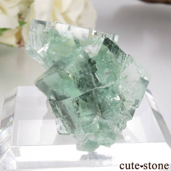  Xianghualing Mine ꡼ե饤Ȥη뾽 26.5gμ̿0 cute stone