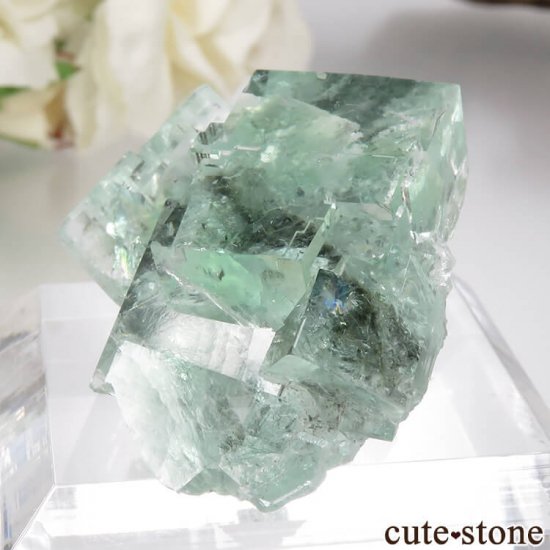  Xianghualing Mine ꡼ե饤Ȥη뾽 26.5gμ̿2 cute stone