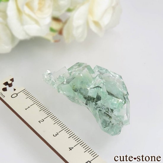  Xianghualing Mine ꡼ե饤Ȥη뾽 26.5gμ̿3 cute stone