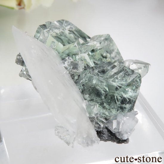  Xianghualing Mine ꡼ե饤ȡ륵Ȥη뾽 17.3gμ̿0 cute stone