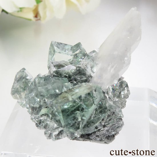  Xianghualing Mine ꡼ե饤ȡ륵Ȥη뾽 17.3gμ̿1 cute stone