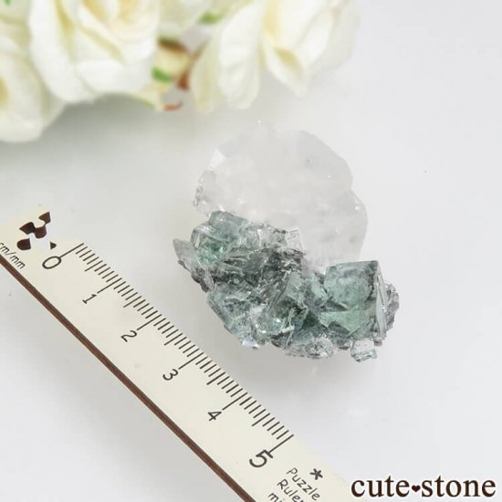  Xianghualing Mine ꡼ե饤ȡ륵Ȥη뾽 17.3gμ̿2 cute stone