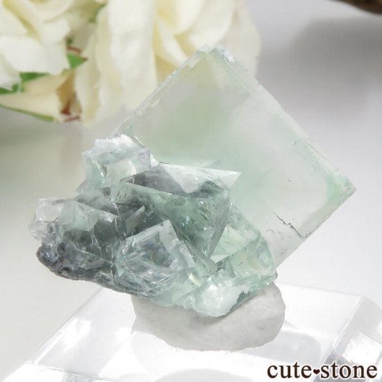  Xianghualing Mine ꡼ե饤Ȥη뾽 12gμ̿0 cute stone
