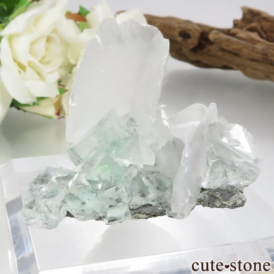  Xianghualing Mine ꡼ե饤ȡ륵Ȥη뾽 27.2gμ̿2 cute stone
