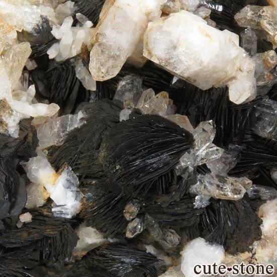  ʻ إޥȡĤդ뾽ʸ) 1660gμ̿3 cute stone