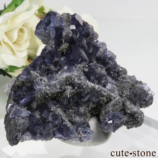  ʡʻѡץ֥롼ե饤ȡĤդ뾽ʸС 50.2gμ̿0 cute stone