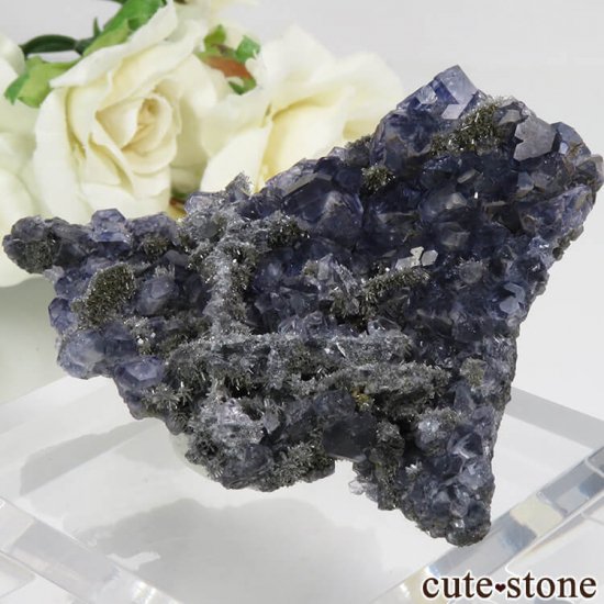  ʡʻѡץ֥롼ե饤ȡĤդ뾽ʸС 50.2gμ̿2 cute stone