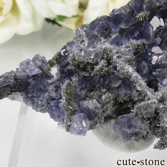  ʡʻѡץ֥롼ե饤ȡĤդ뾽ʸС 50.2gμ̿4 cute stone