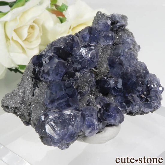  ʡʻѡץ֥롼ե饤ȡĤդ뾽ʸС 44.6gμ̿0 cute stone
