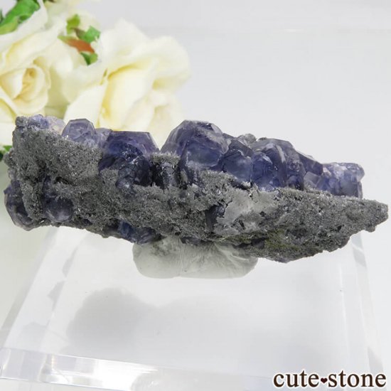  ʡʻѡץ֥롼ե饤ȡĤդ뾽ʸС 44.6gμ̿1 cute stone