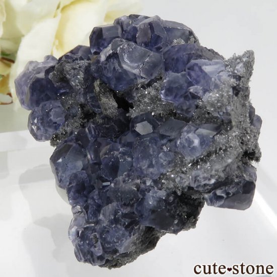  ʡʻѡץ֥롼ե饤ȡĤդ뾽ʸС 44.6gμ̿2 cute stone