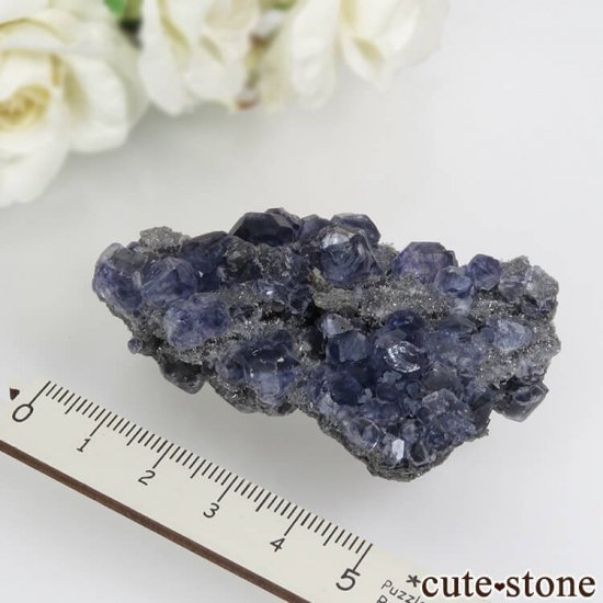  ʡʻѡץ֥롼ե饤ȡĤդ뾽ʸС 44.6gμ̿5 cute stone
