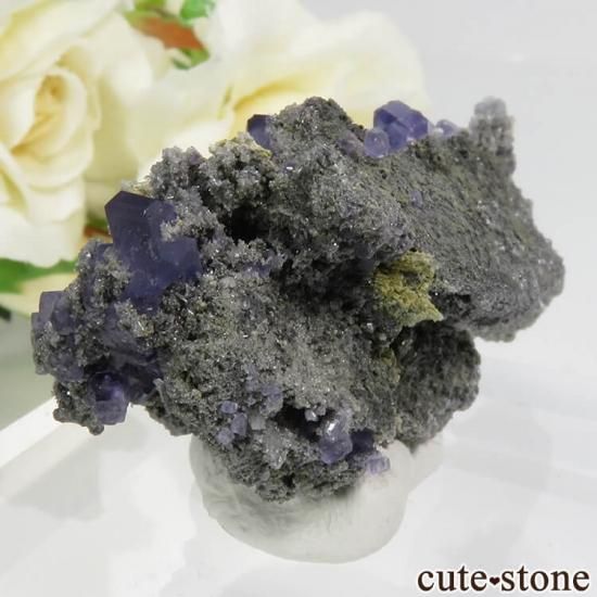  ʡʻѡץ֥롼ե饤ȡĤդ뾽ʸС 20.5gμ̿1 cute stone