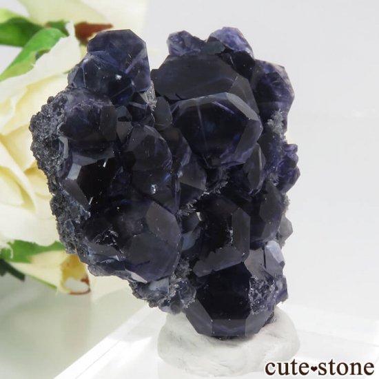  ʡʻѡץ֥롼ե饤ȡĤդ뾽ʸС 37.4gμ̿0 cute stone