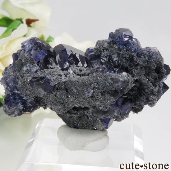  ʡʻѡץ֥롼ե饤ȡĤդ뾽ʸС 37.4gμ̿1 cute stone